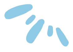 improve marketing bottom decoration