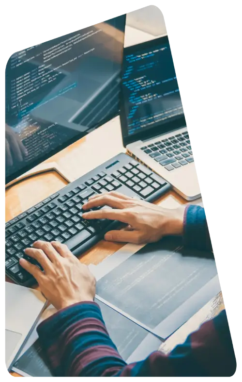 Website Development & SEO